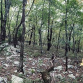 Review photo of Upper Improved Campground — Cheaha State Park by Lakyn B., September 12, 2021