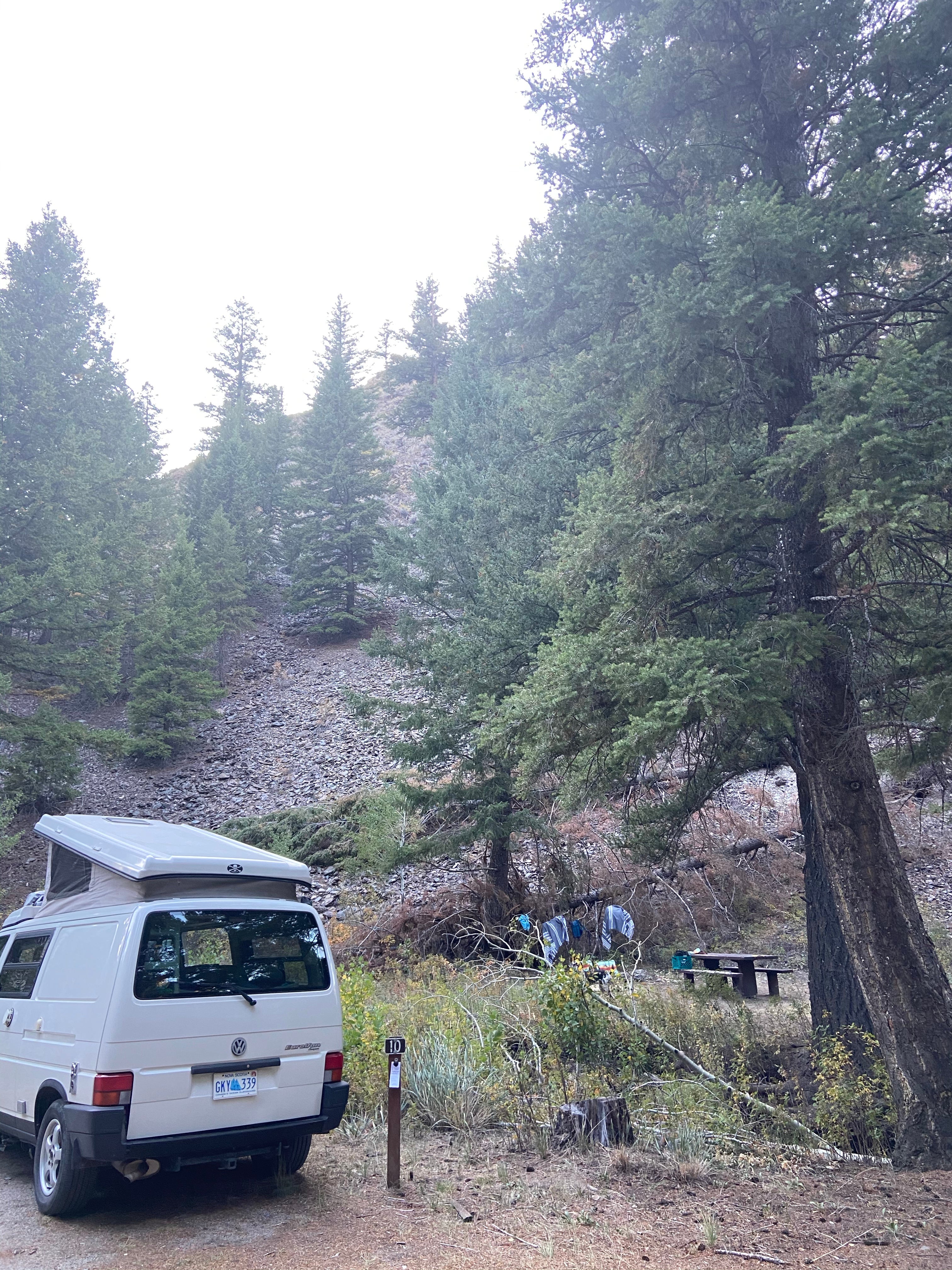 Camper submitted image from Holman Creek Campground - 4