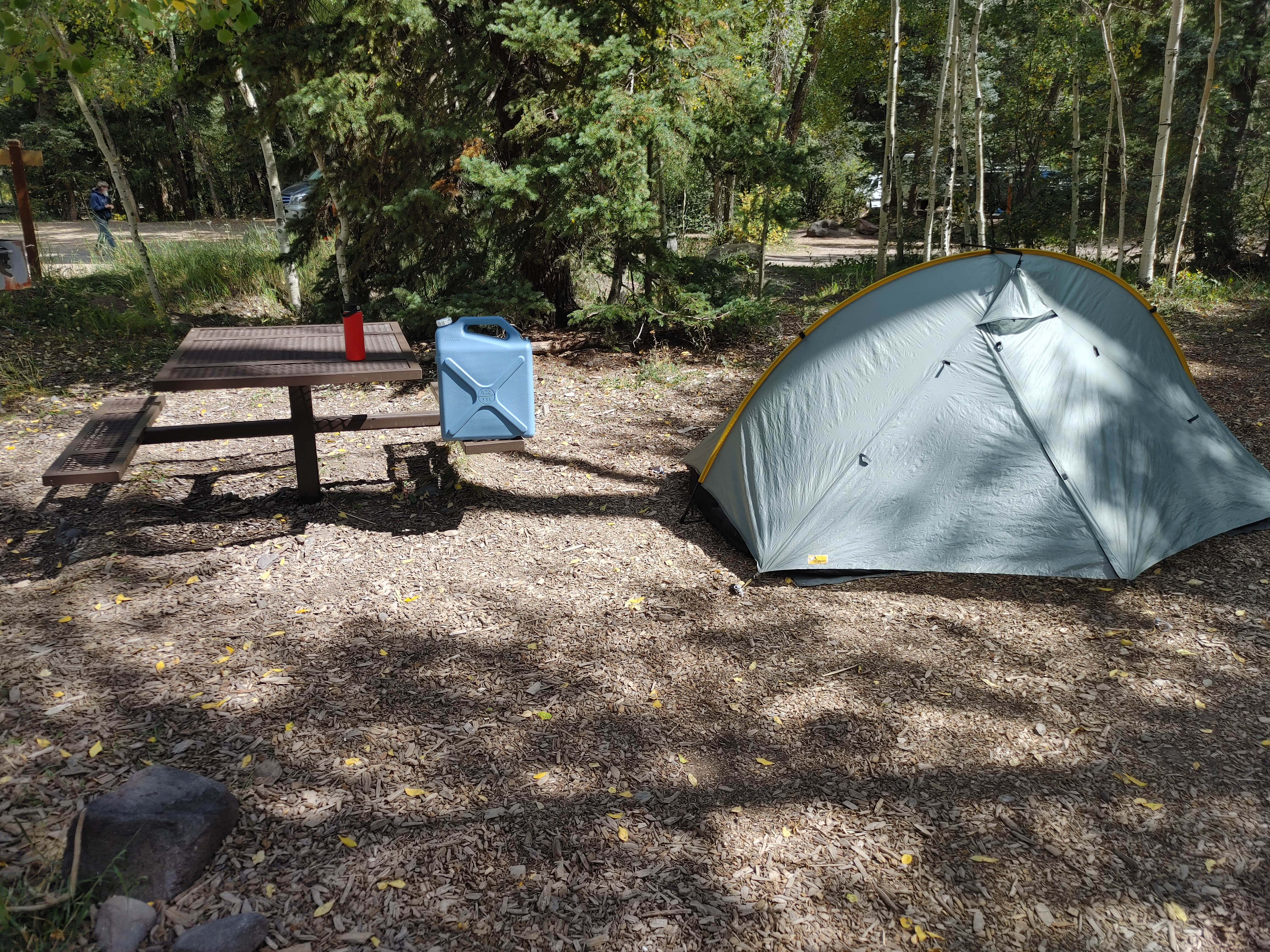 Nick C.'s photo at Telluride Town Park Campground near Placerville, CO
