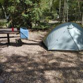 Review photo of Telluride Town Park Campground by Nick C., September 12, 2021