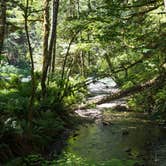 Review photo of Verlot Campground by Graham C., July 21, 2016
