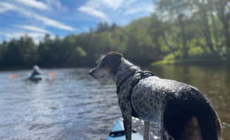 Kristy B.'s photo of camping with pets at On the Saco Family Campground near Fryeburg, ME