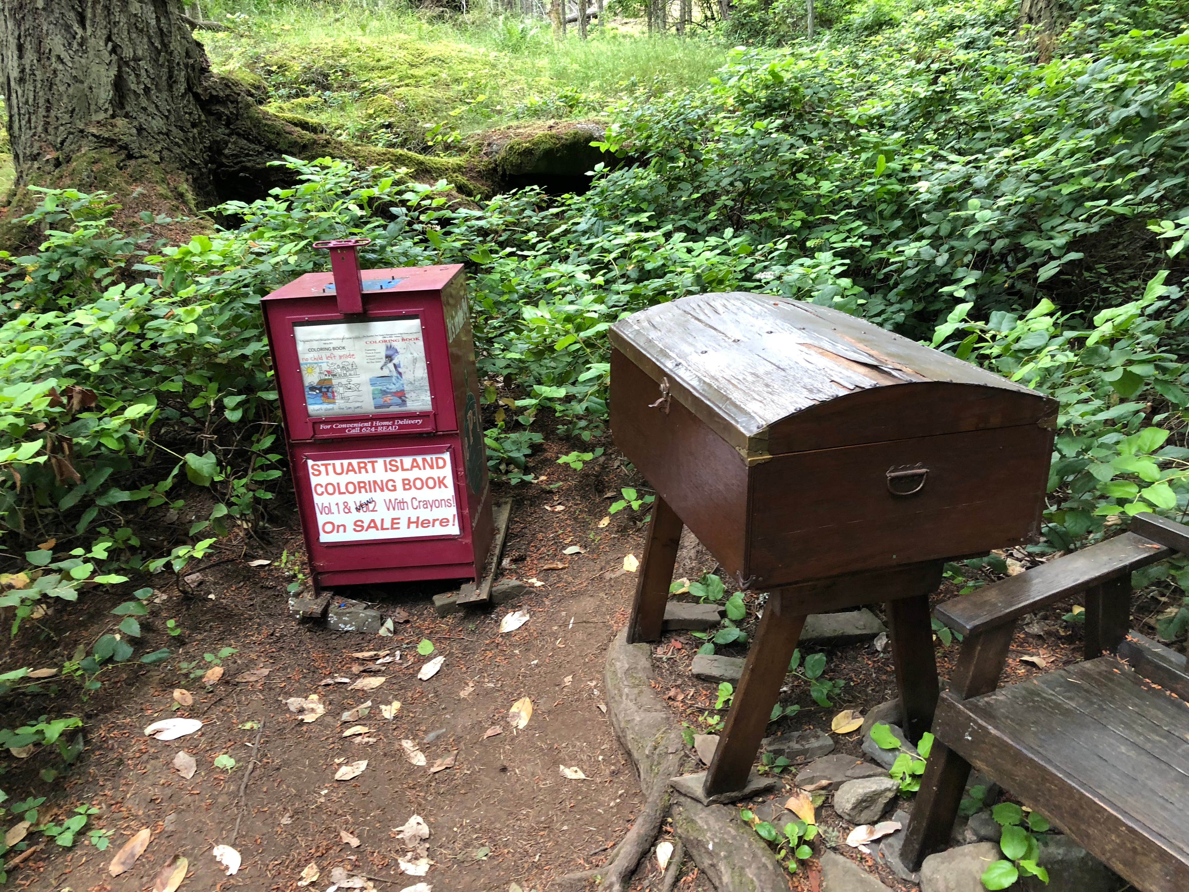 Camper-submitted photo at Stuart Island Marine State Park Campground near Point Roberts, WA