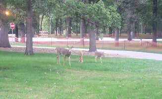 Tucker B.'s photo of camping with pets at Lindenwood Campground near West Fargo, ND