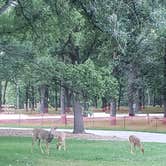 Review photo of Lindenwood Campground by Tucker B., September 12, 2021