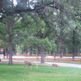 Review photo of Lindenwood Campground by Tucker B., September 12, 2021