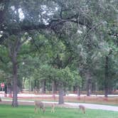 Review photo of Lindenwood Campground by Tucker B., September 12, 2021