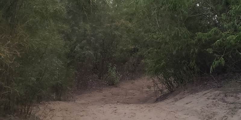 Camper submitted image from General Sibley Park