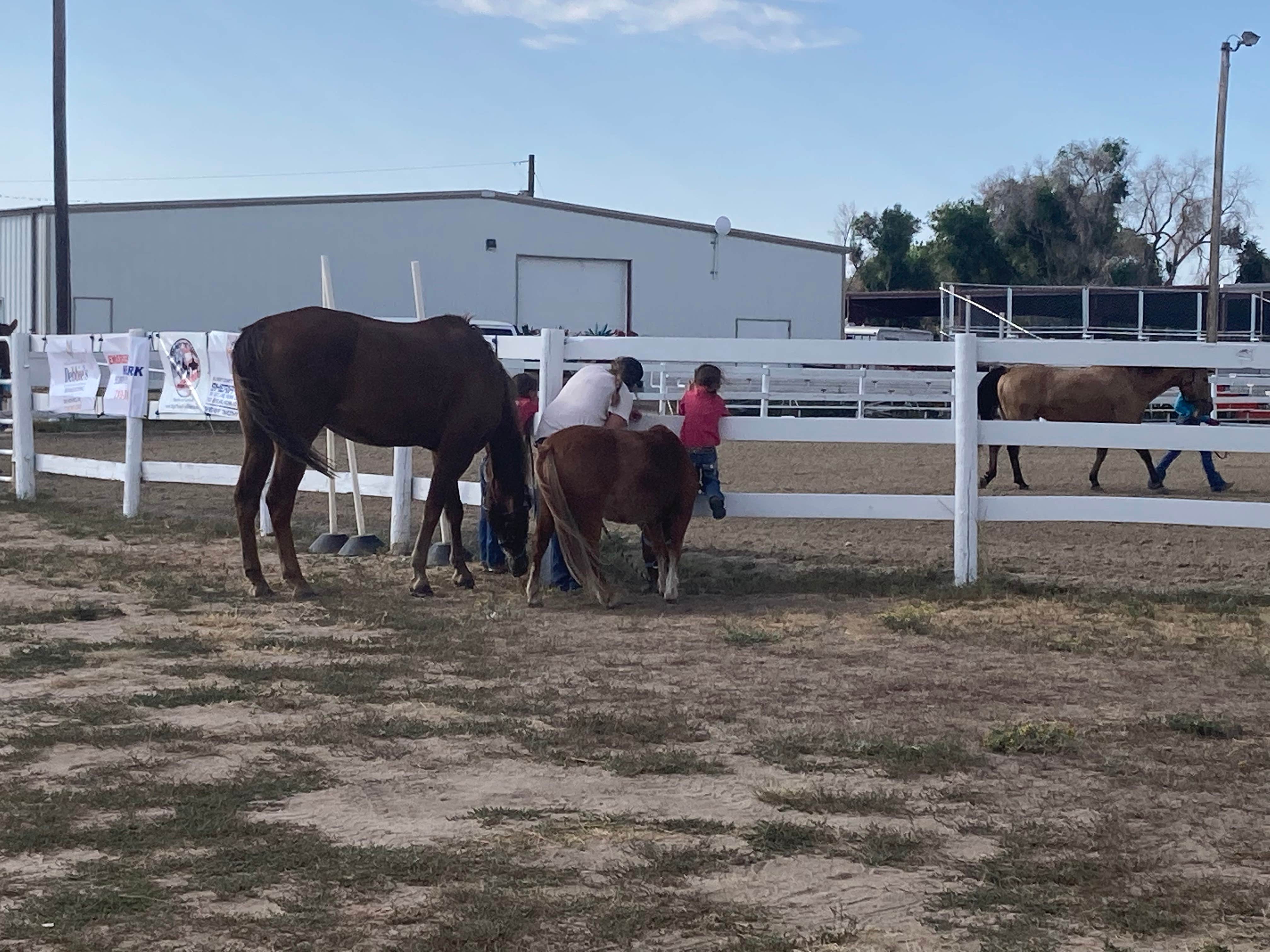 Camper submitted image from Elbert County Fairgrounds - 5