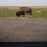 Review photo of Buffalo Gap Dispersed Camping by Tucker B., September 12, 2021
