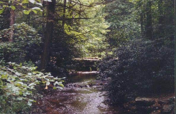 Camper submitted image from Caledonia State Park Campground - 2
