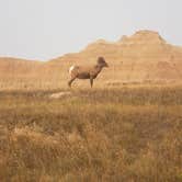 Review photo of Buffalo Gap Dispersed Camping by Tucker B., September 12, 2021