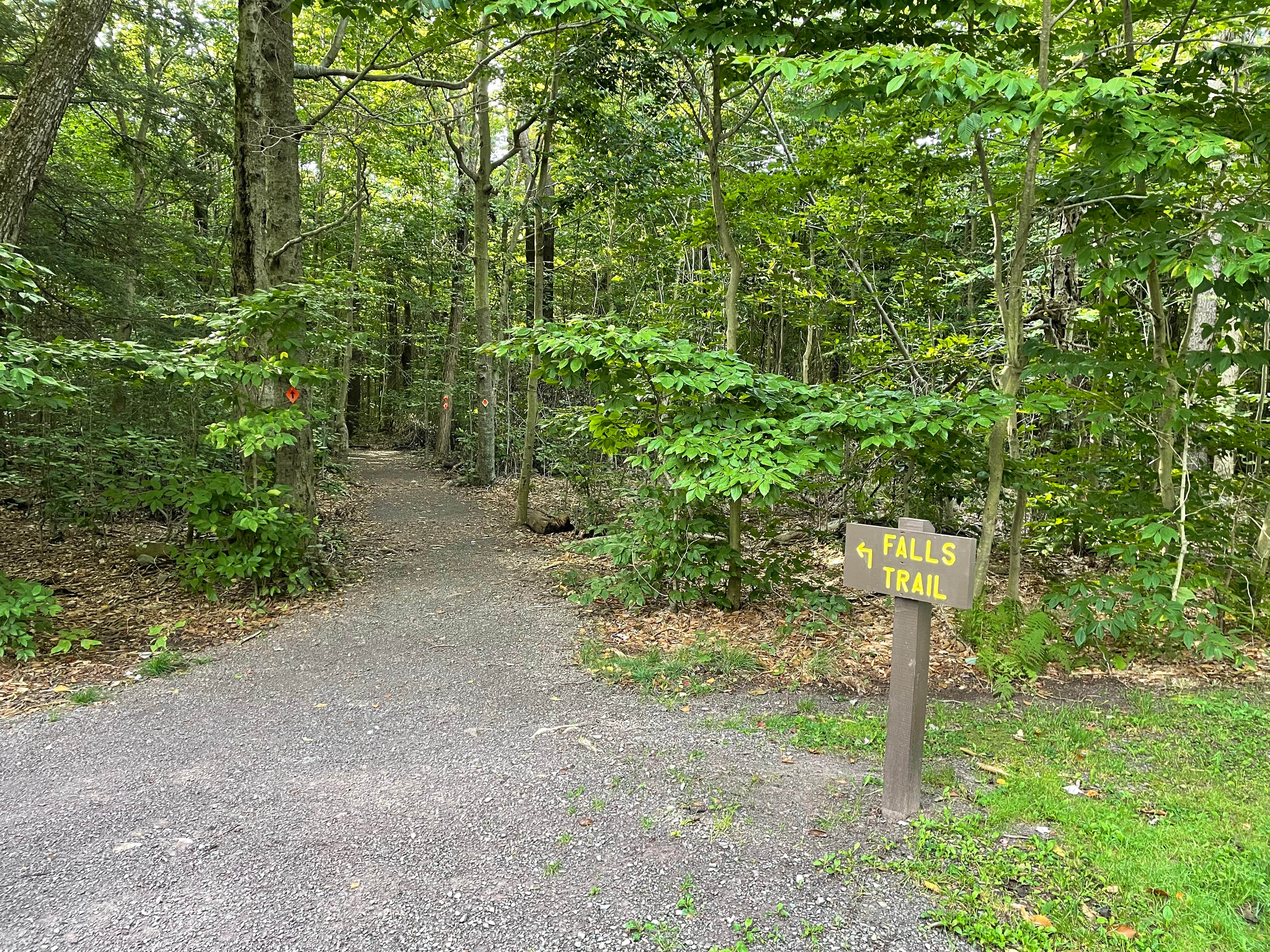 Best camping near Jim Thorpe, Pennsylvania The Dyrt