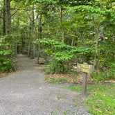 Review photo of Ricketts Glen State Park Campground by Emily M., September 12, 2021