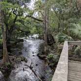 Review photo of Hillsborough River State Park by Jason D., June 28, 2018