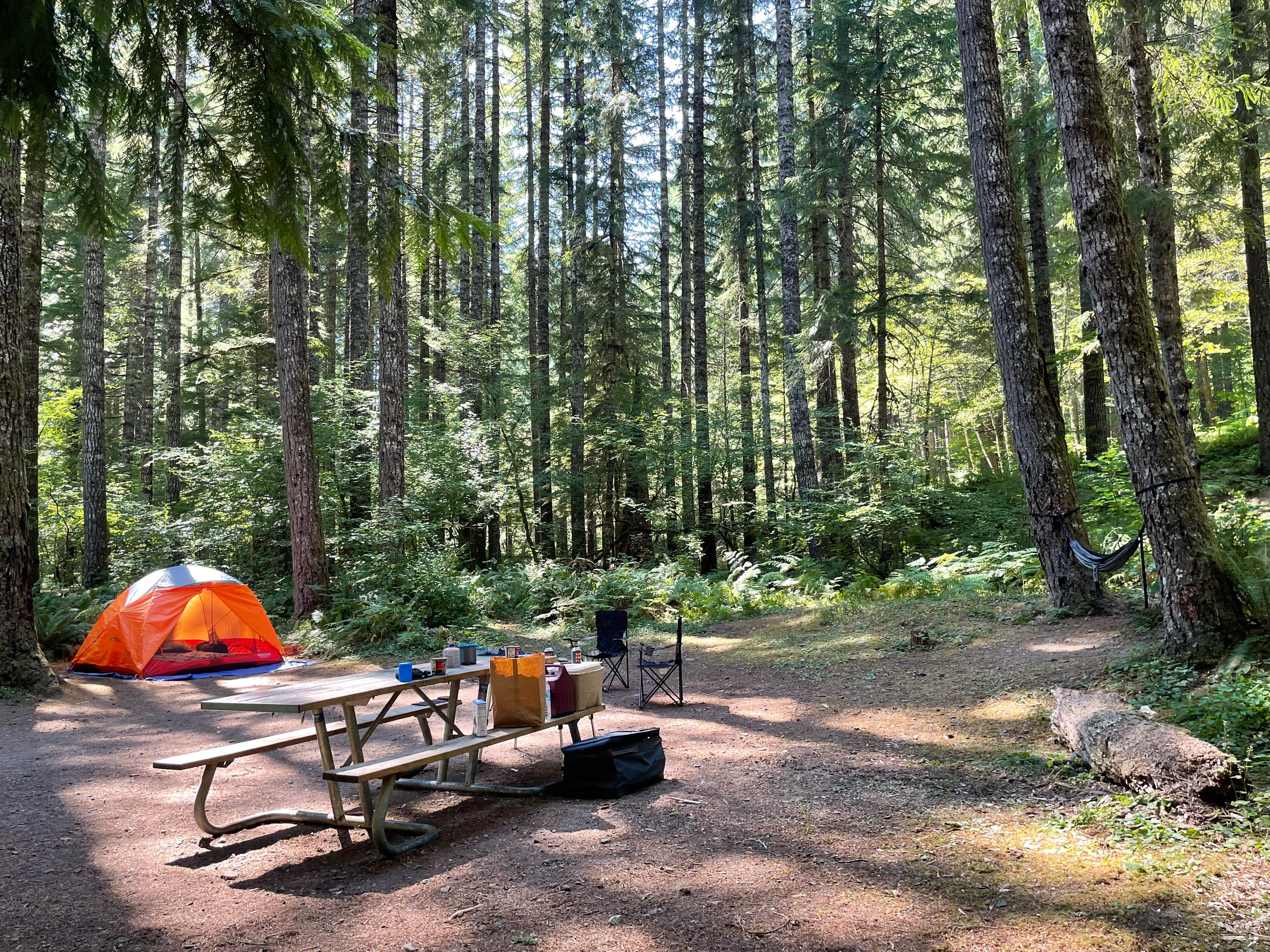 Amanda  W.'s photo at Lower Falls Campground near Gifford Pinchot National Forest