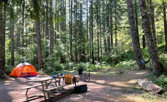Amanda W.'s photo at Lower Falls Campground near Gifford Pinchot National Forest