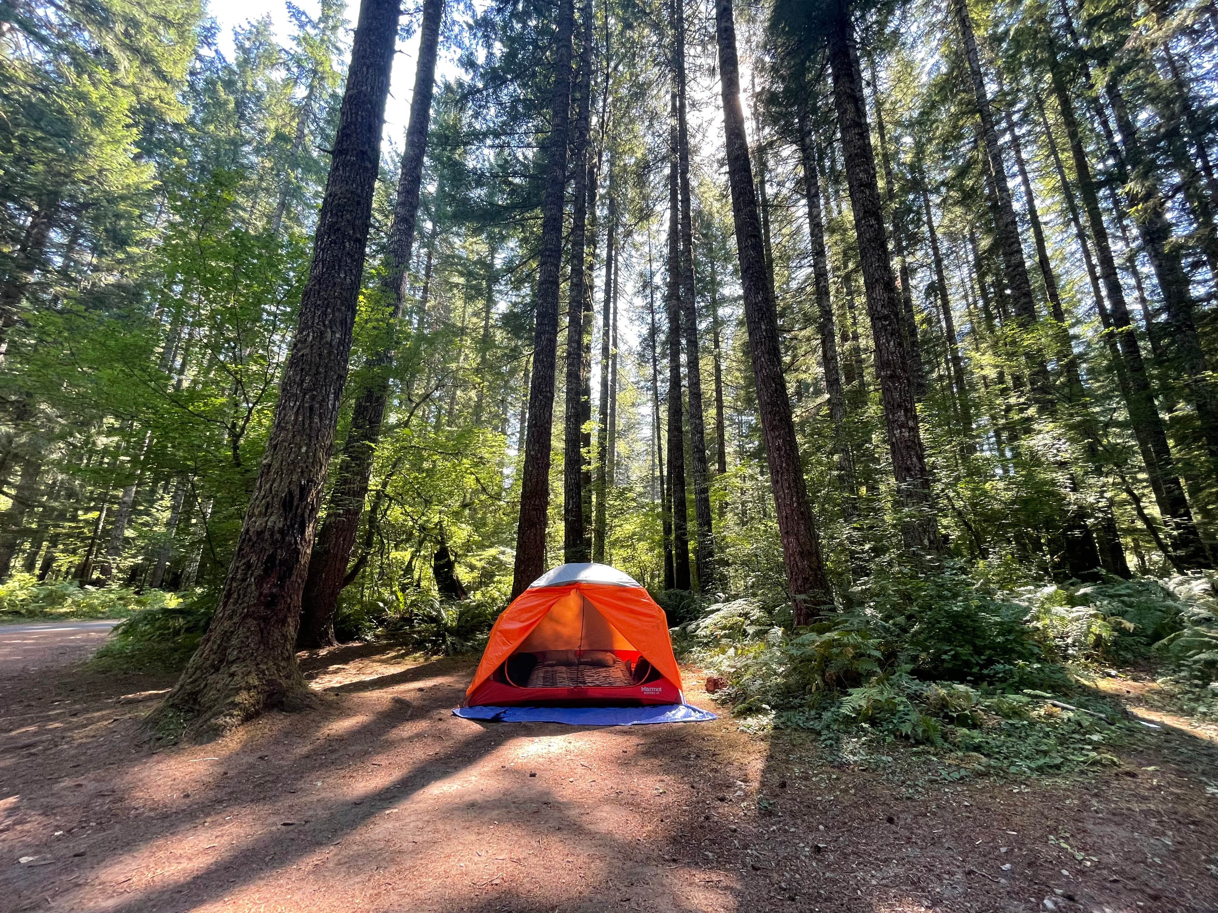 Amanda  W.'s photo at Lower Falls Campground near Gifford Pinchot National Forest