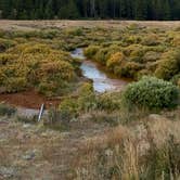 Review photo of Kirby Gulch by Alison C., September 12, 2021