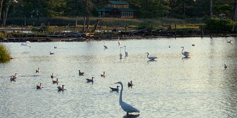 Camper submitted image from Pine Grove Campground