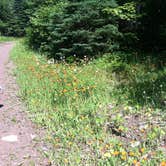 Review photo of Bean and Bear Lakes Hike-In — Tettegouche State Park by Theresa D., June 29, 2018