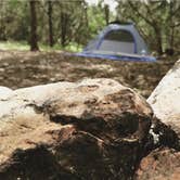 Review photo of Turner Falls Park by Morgan K., June 29, 2018