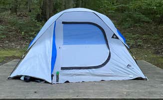 Sandra C.'s photo at Mahlon Dickerson Reservation near Roselle, NJ