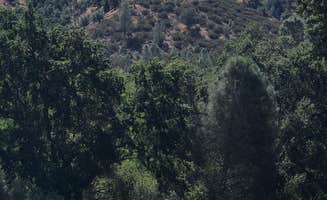 Annette D.'s photo at Pinnacles Campground — Pinnacles National Park near Soledad, CA