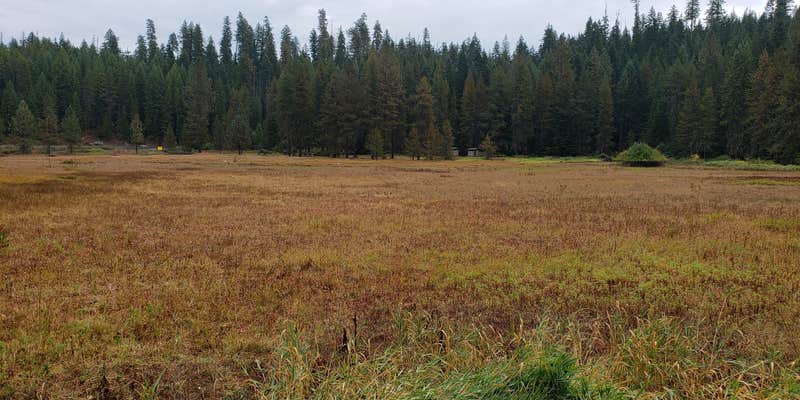 Camper submitted image from Little Boulder Campground