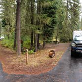 Review photo of Little Boulder Campground by Mike E., September 12, 2021