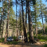 Review photo of Newhalem Creek Campground — Ross Lake National Recreation Area by Ursula , September 13, 2021