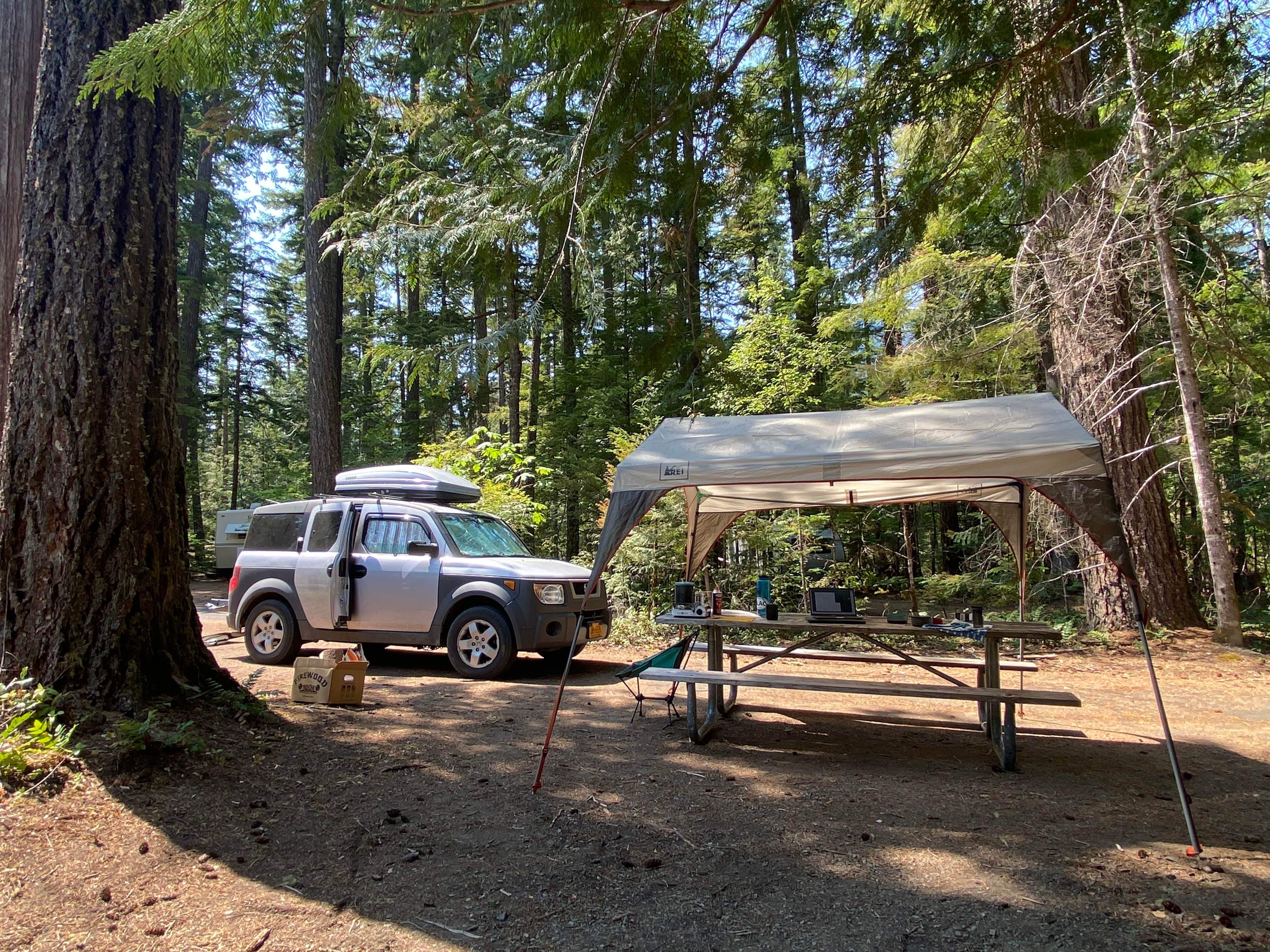 Best dispersed camping in Washington The Dyrt