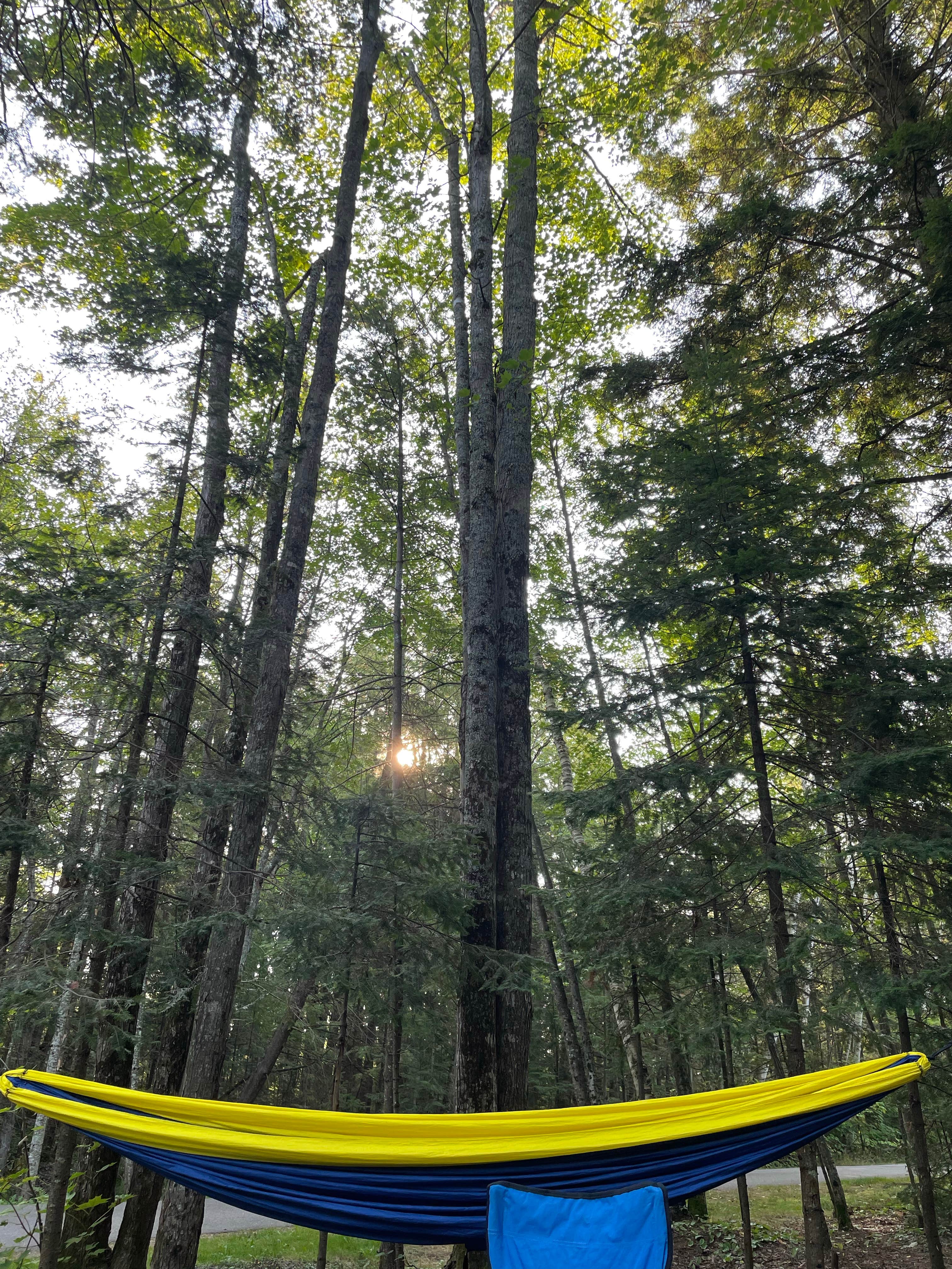 Madi R.'s photo at Lower Falls Campground — Tahquamenon Falls State Park near Eckerman, MI