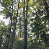 Review photo of Lower Falls Campground — Tahquamenon Falls State Park by Madi R., September 13, 2021