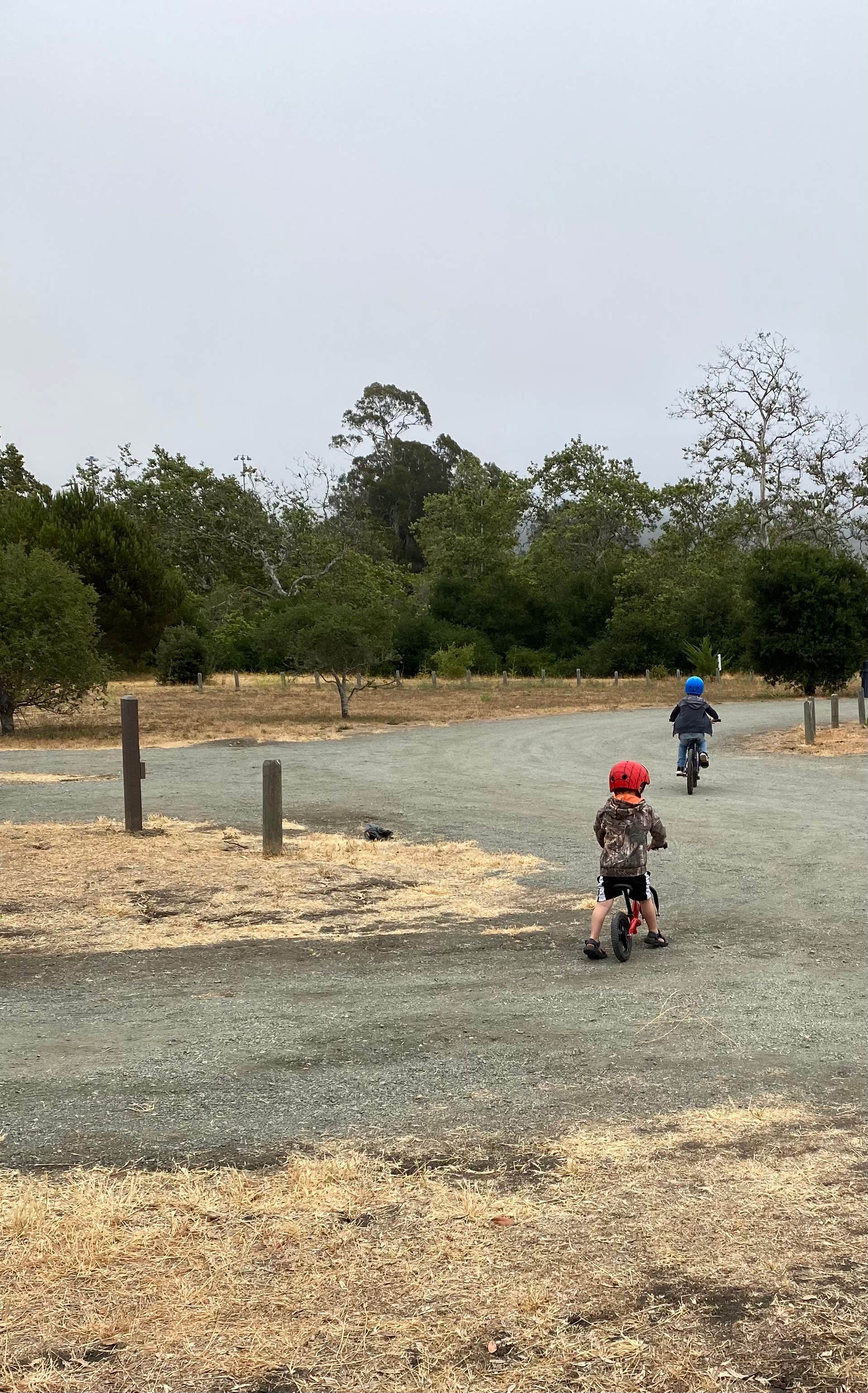 Camper submitted image from El Chorro Regional Park - 2