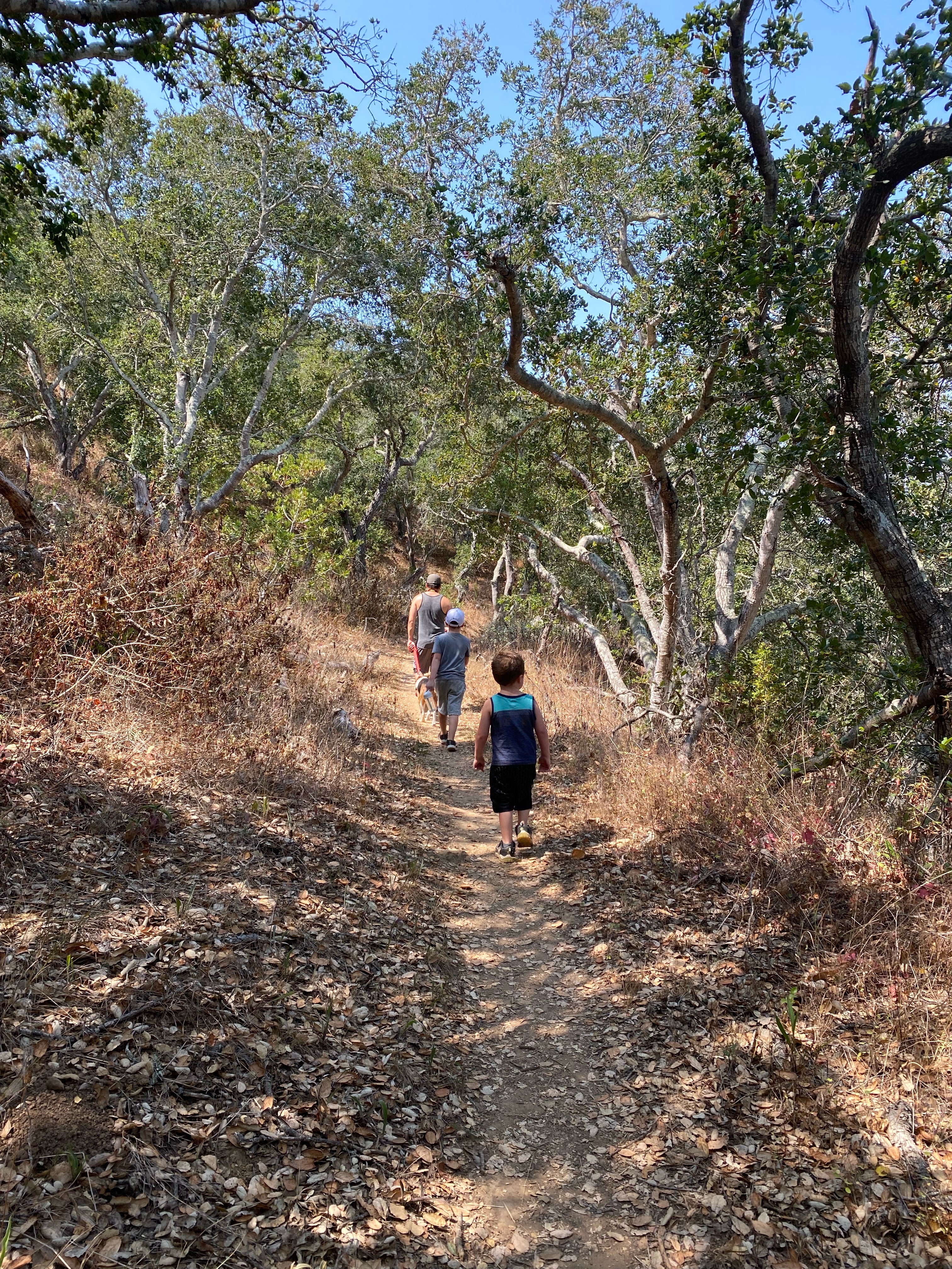 Camper submitted image from El Chorro Regional Park - 4