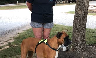 Doug and Terri C.'s photo of camping with pets at Newberry / I-26 / Sumter NF KOA near Ninety Six, SC