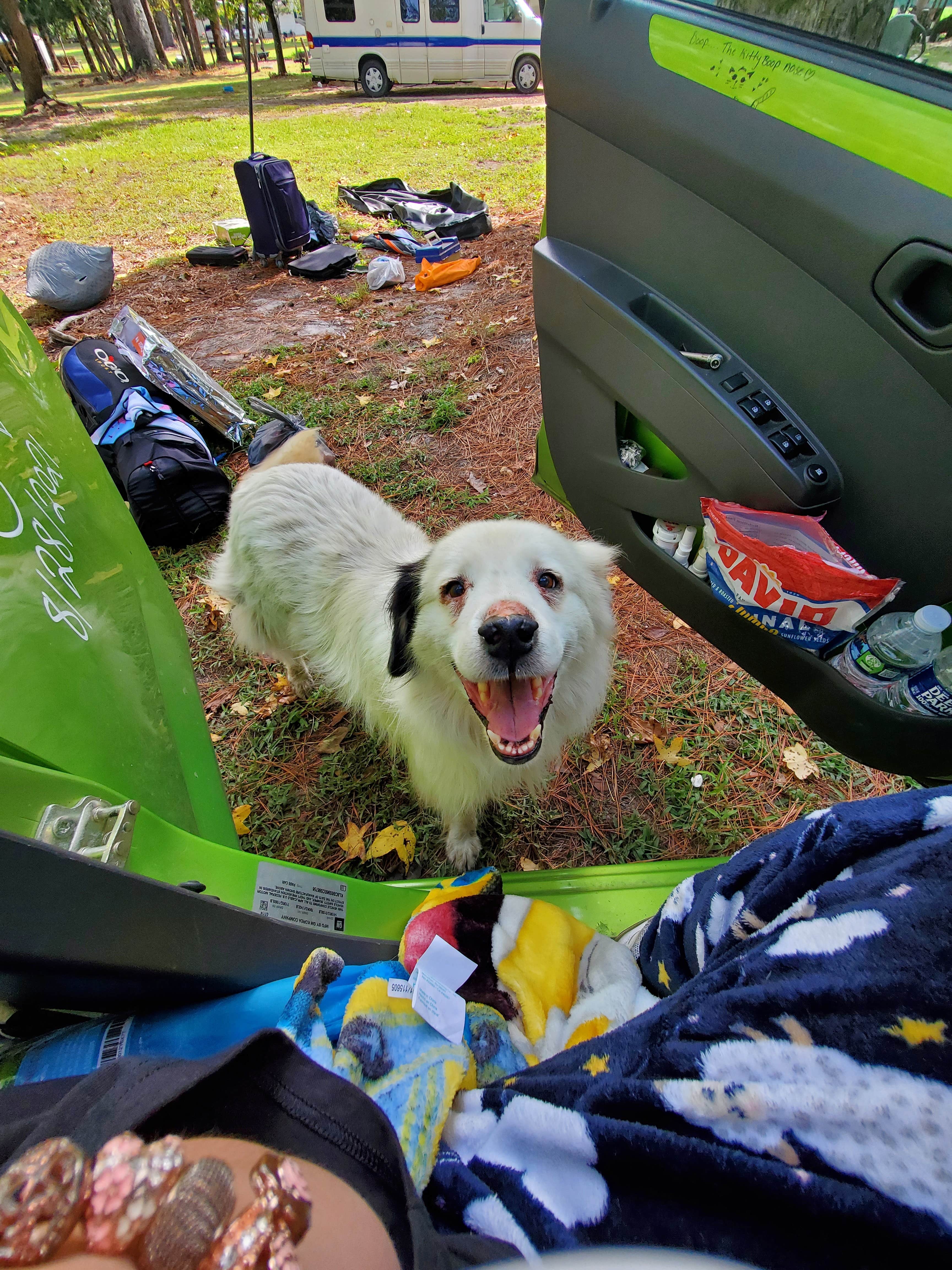 Smol W.'s photo of camping with pets at Double L Farms Campground near Vass, NC