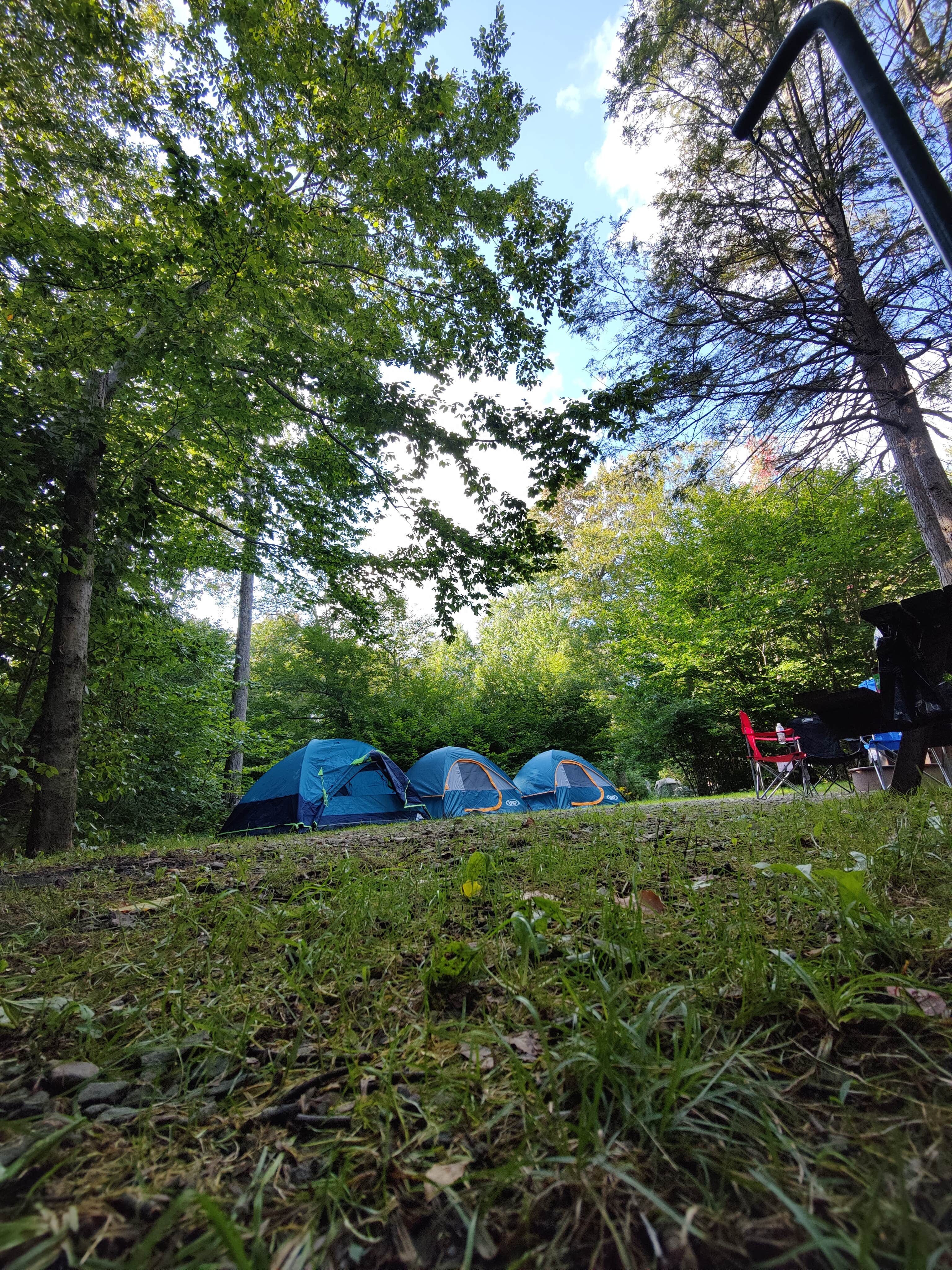 Mohamed A.'s photo at Lower Lake Campground Rhododendron Area — Promised Land State Park near Skytop, PA