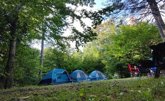 Mohamed A.'s photo at Lower Lake Campground Rhododendron Area — Promised Land State Park near Paupack, PA