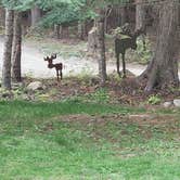 Review photo of Lost Moose Campground by Mike E., September 13, 2021