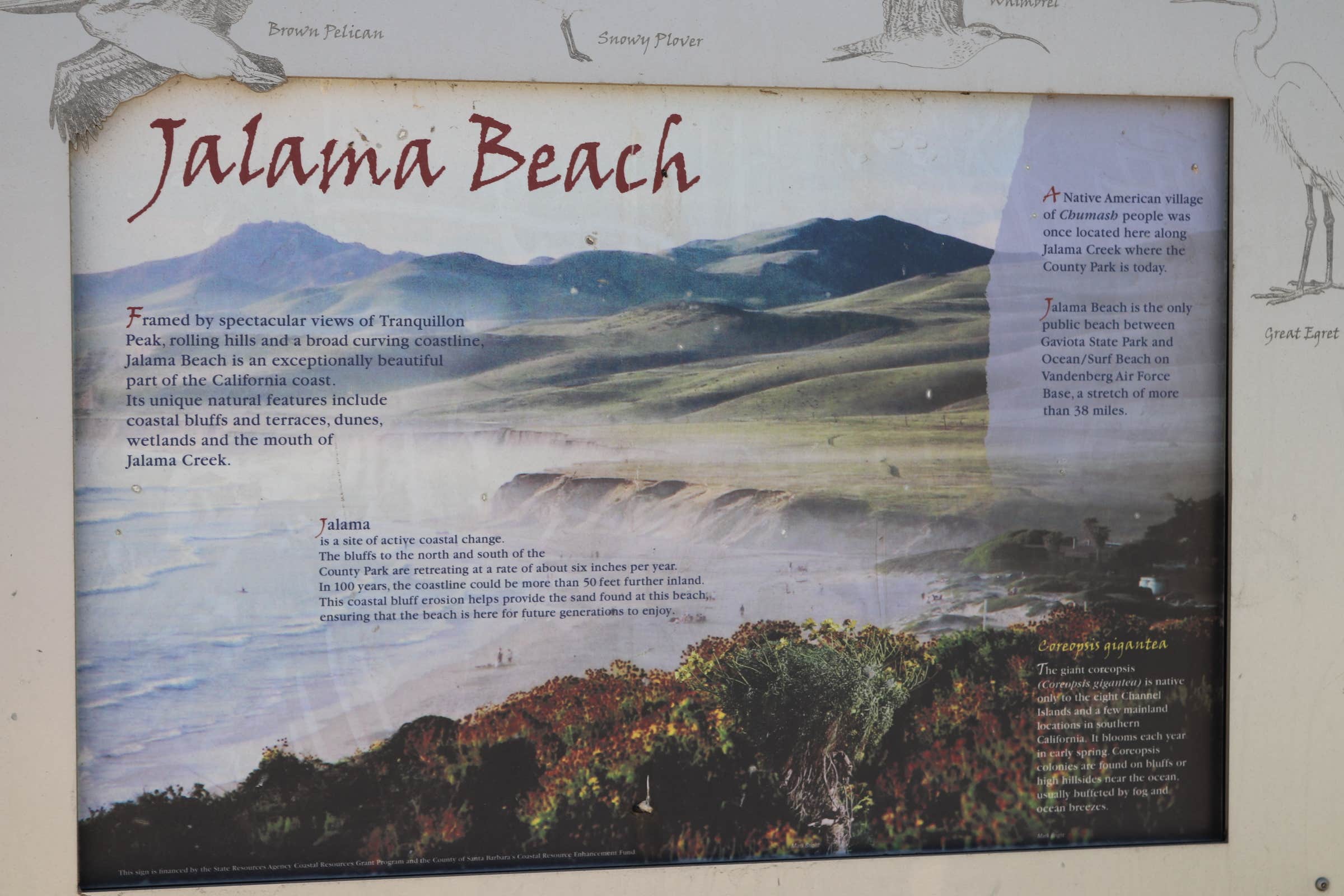 Camper-submitted photo at Jalama Beach County Park near Santa Maria, CA