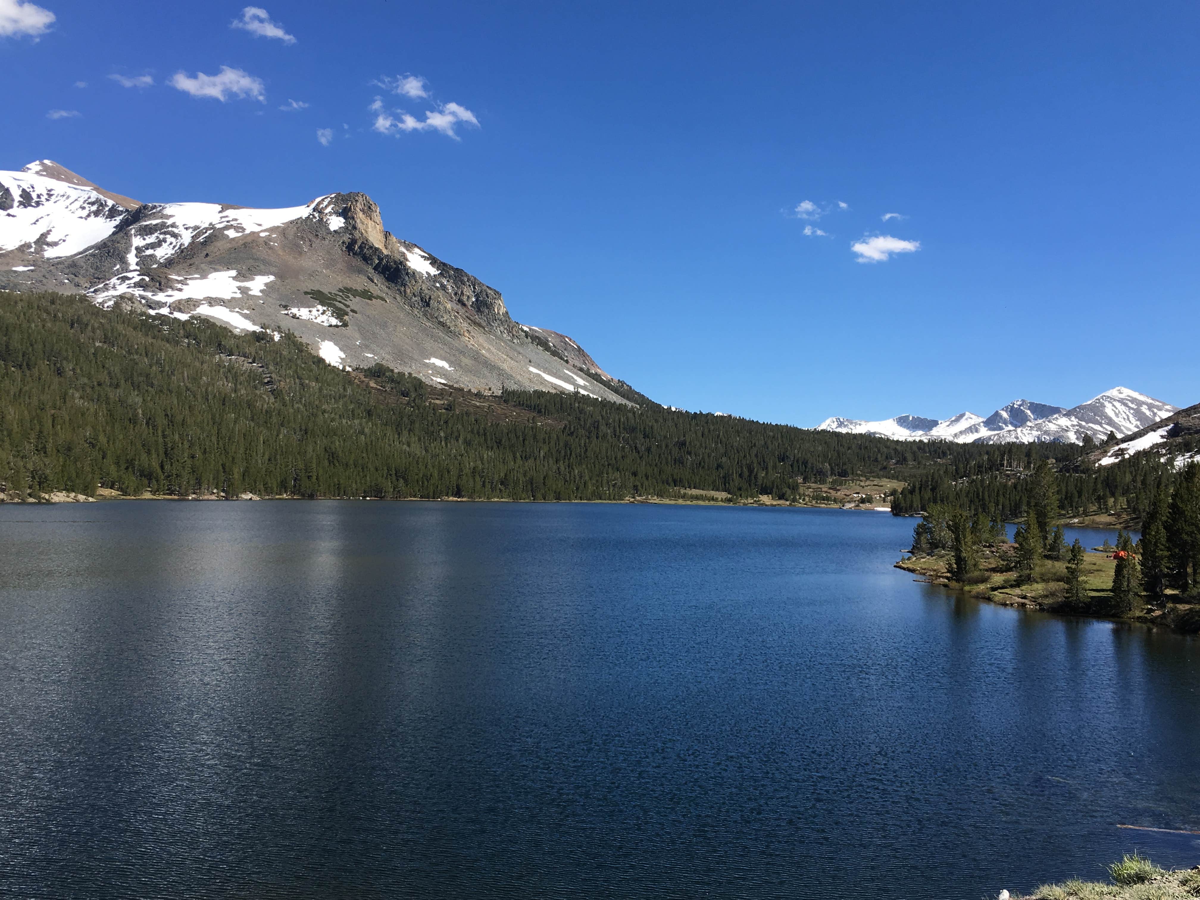 Camper submitted image from Tioga Lake Campground - 5