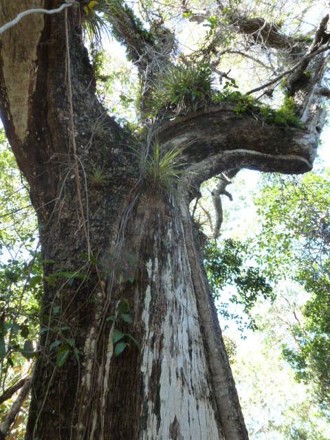 Camper submitted image from Flamingo Campground — Everglades National Park - 2