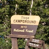 Review photo of Tioga Lake Campground by Annie C., June 29, 2018