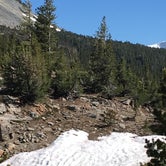 Review photo of Tioga Lake Campground by Annie C., June 29, 2018