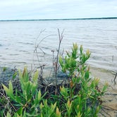 Review photo of Tawas Point State Park Campground by Marie H., June 29, 2018