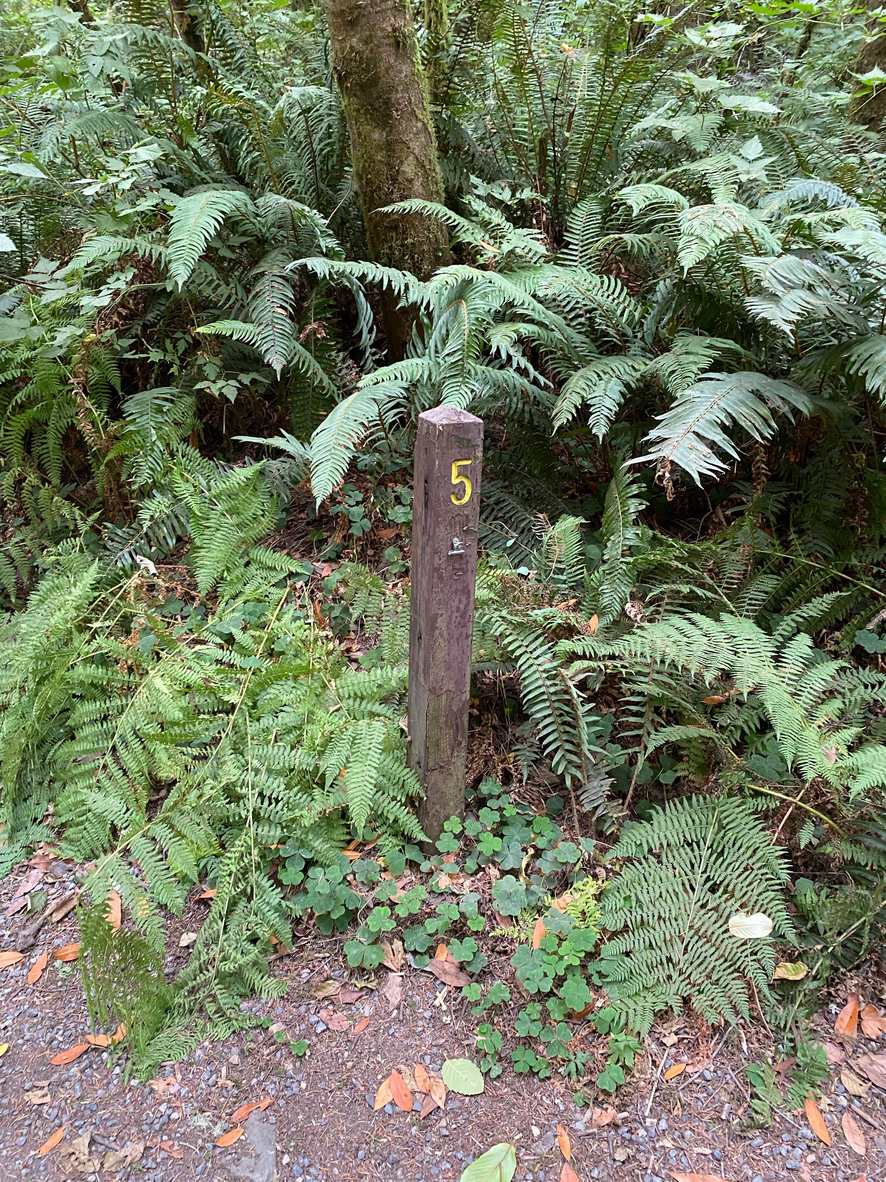 Camping near Winchuck Campground: Ludlum Campground, Smith River, Oregon