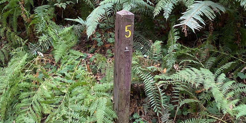 Camper submitted image from Ludlum Campground