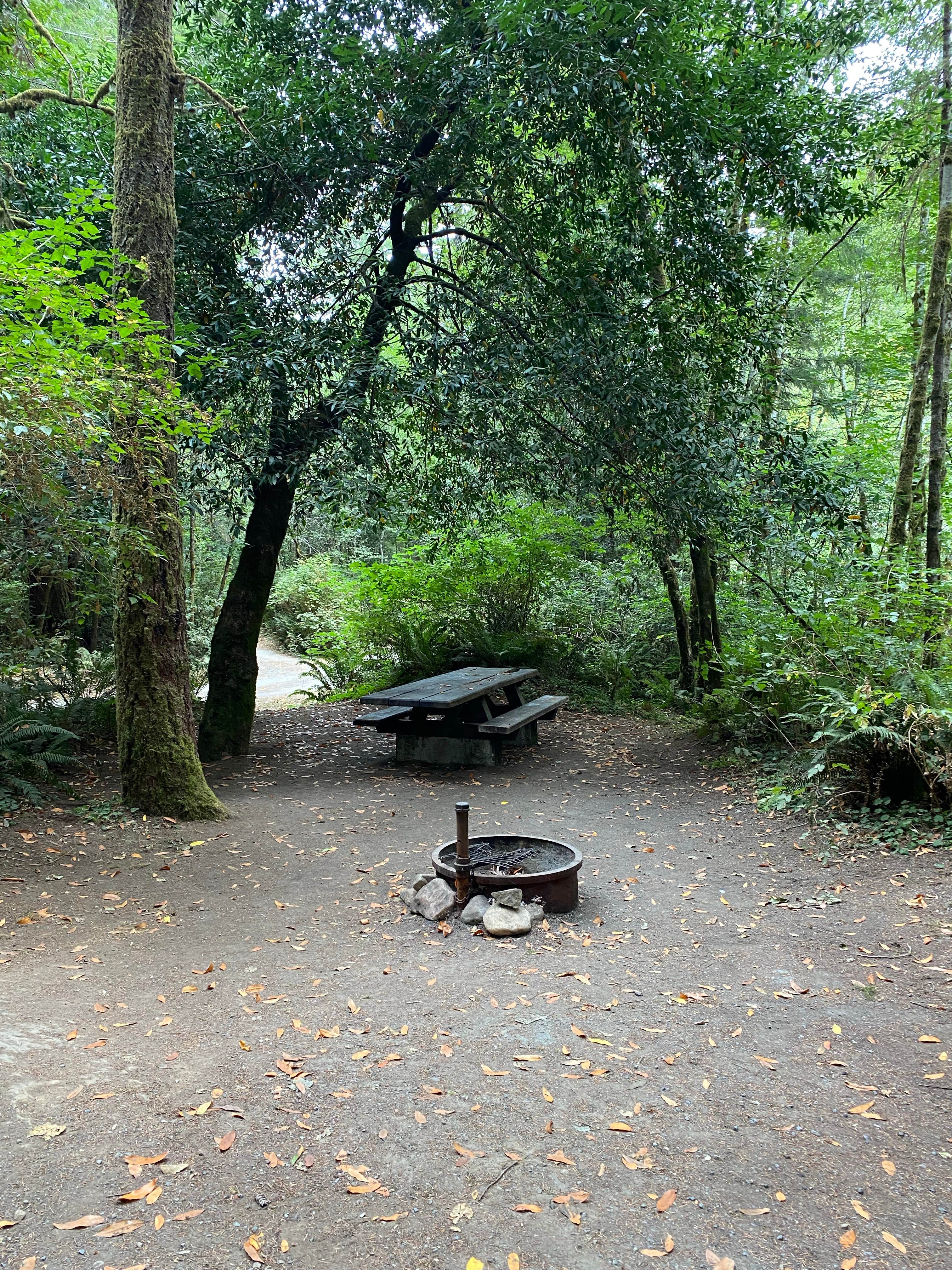 Camper-submitted photo at Ludlum Campground near Fort Dick, CA
